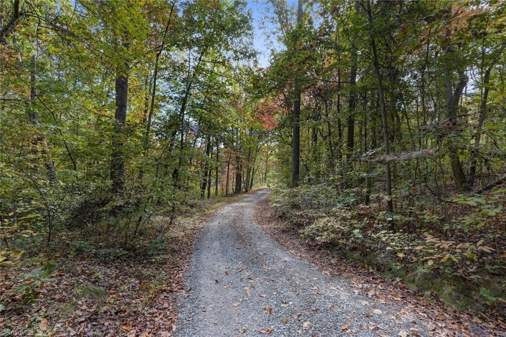 383 Crossover Road Reidsville, NC 27320 - Photo 16 of 49