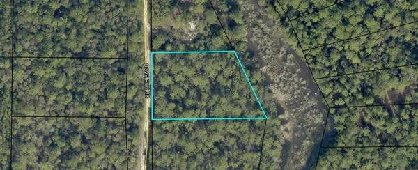 $50,000 | 99-ac Dove Run Road, Holt, FL 32564