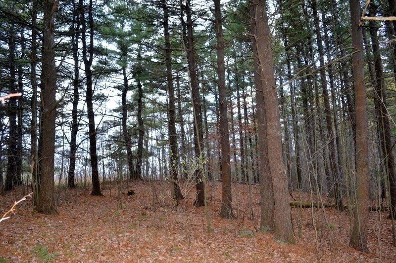 1809 Crayton Road Monroeton, PA 18832 - Photo 4 of 75 Gallery Image 4