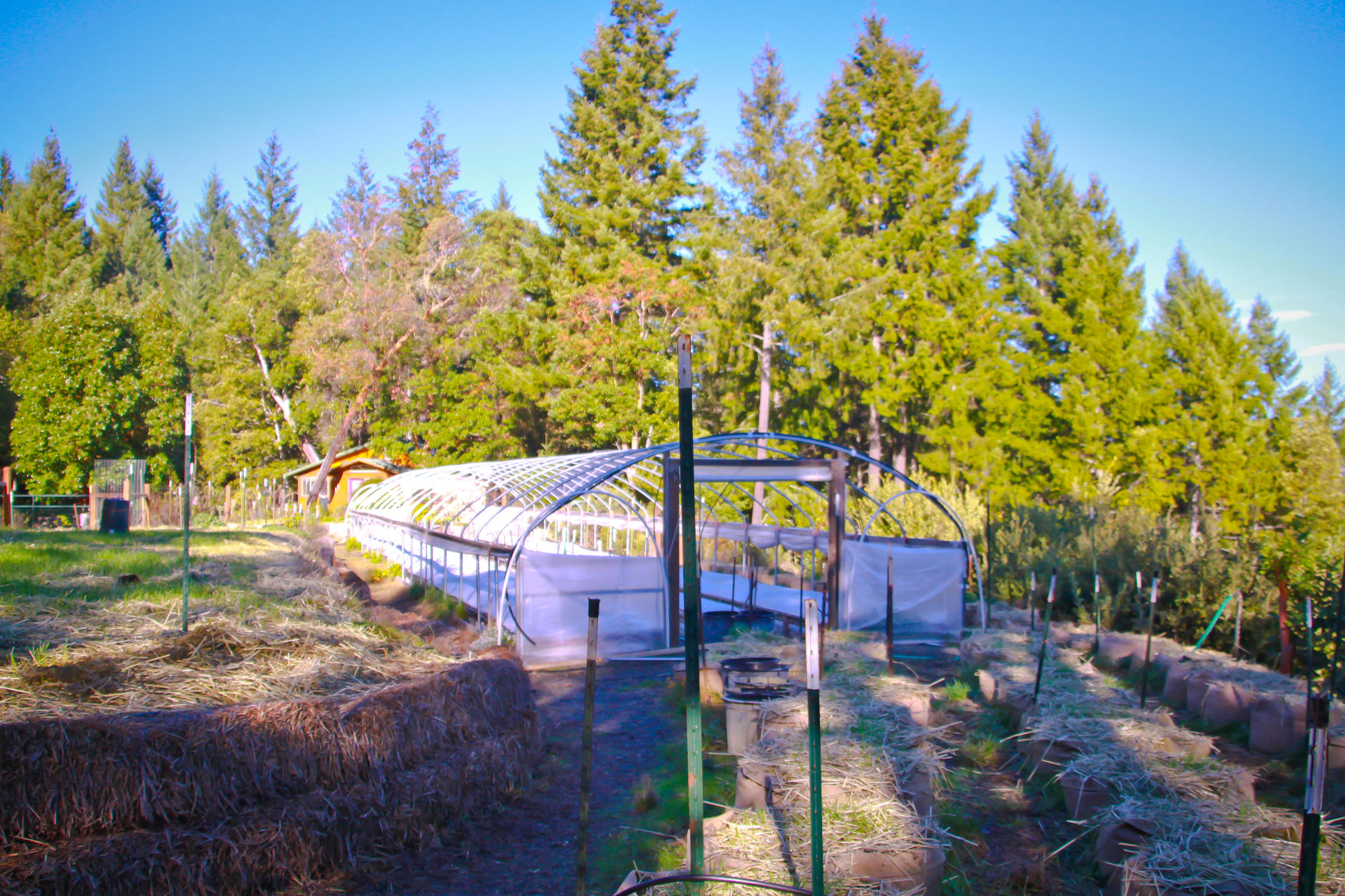 3900 Red Rock Road Benbow, CA 95542 - Photo 89 of 102 RRF-69