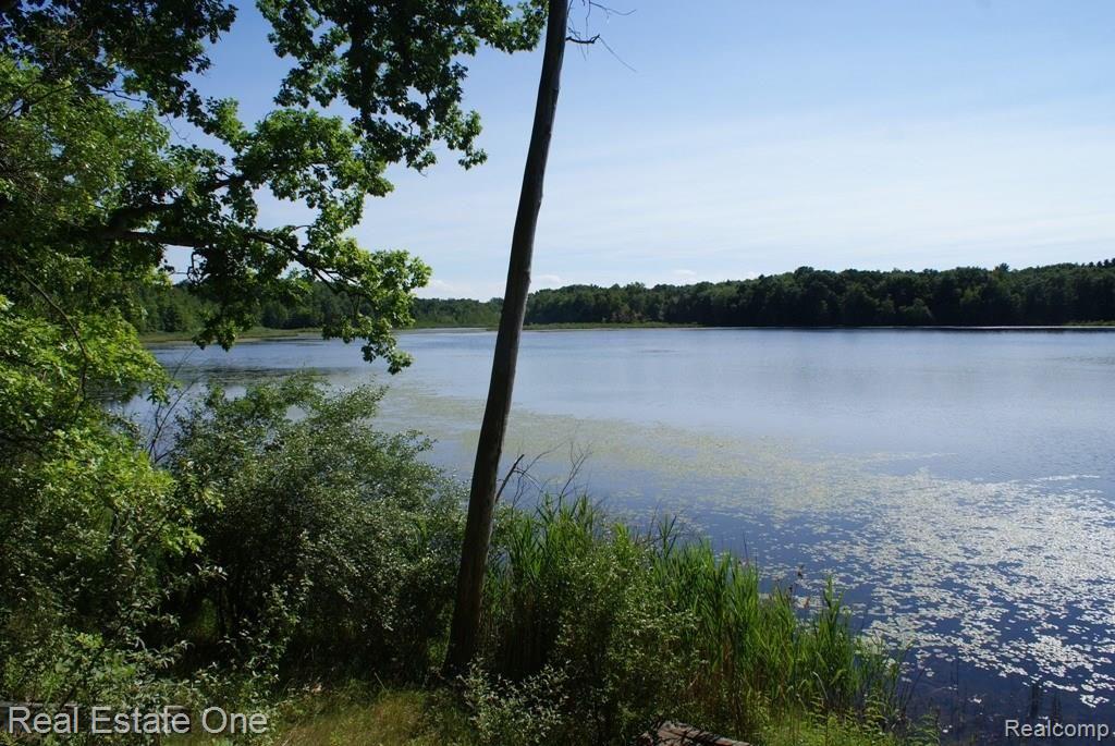 2 McKeen Lake Road Columbiaville, MI 48421 - Photo 6 of 51