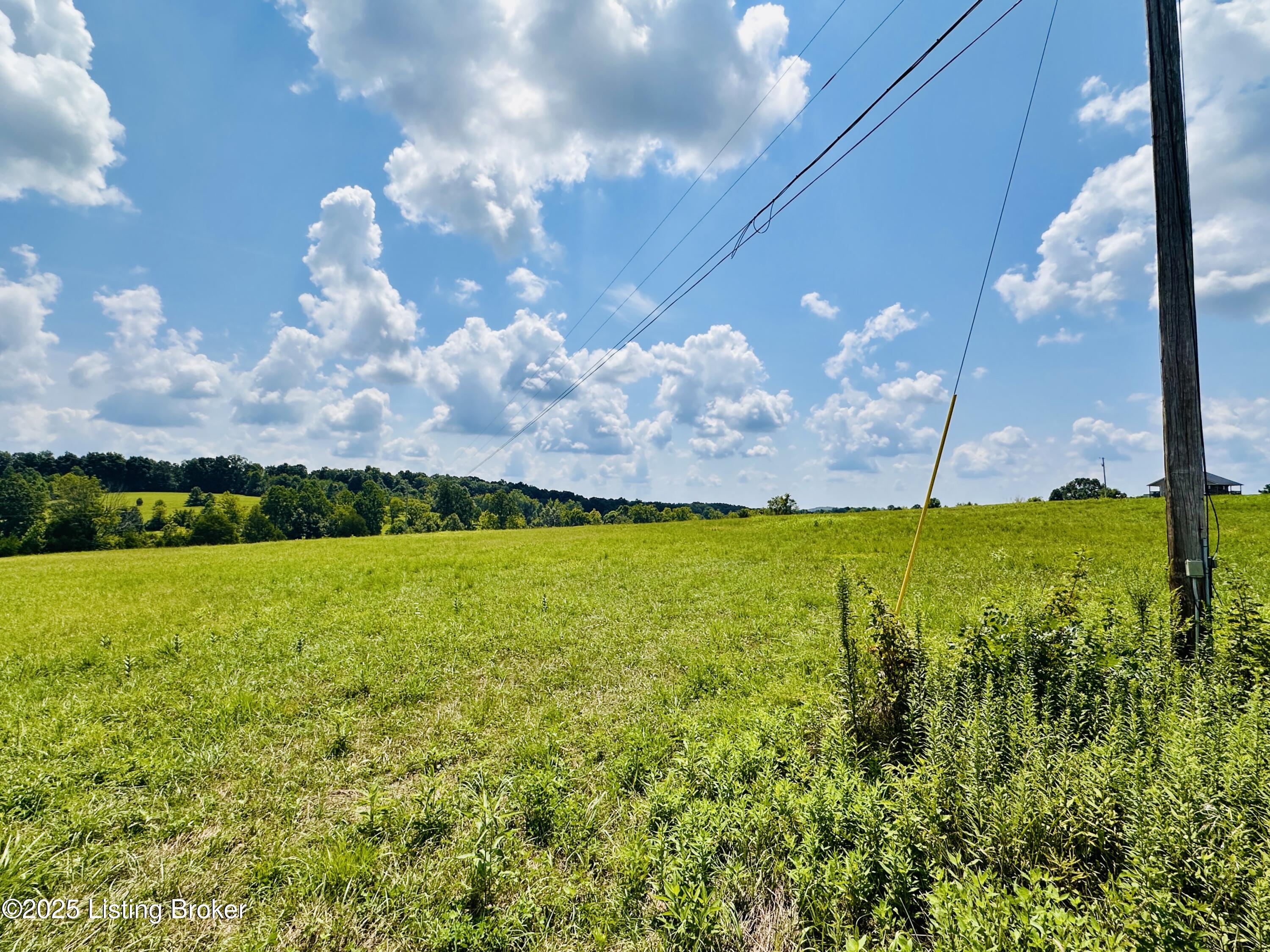 0 Byrtle Grove Road Leitchfield, KY 42754 - Photo 3 of 6 Photos-3