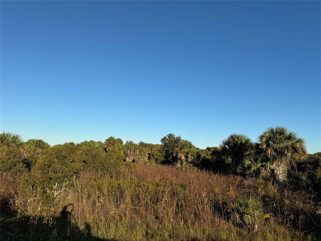 2025 Cabbage Lane Okeechobee, FL 34974 - Photo 2 of 10