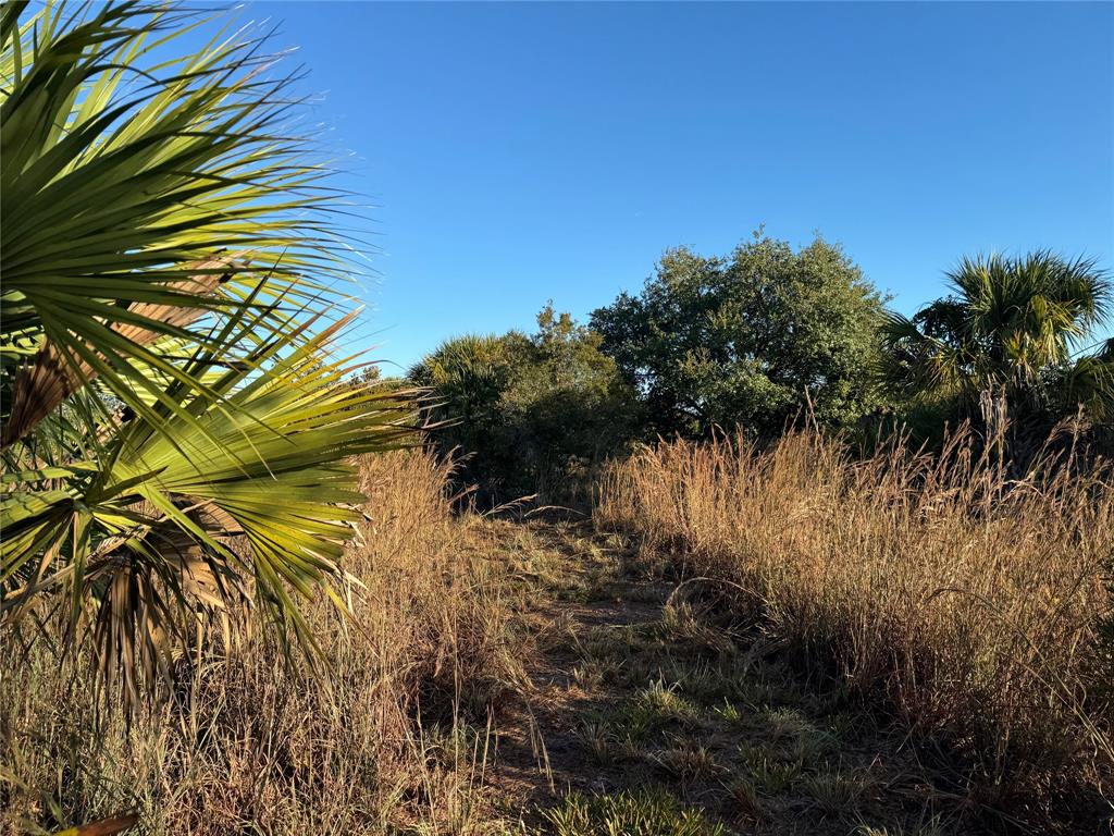 2025 Cabbage Lane Okeechobee, FL 34974 - Photo 6 of 10 a view of a yard