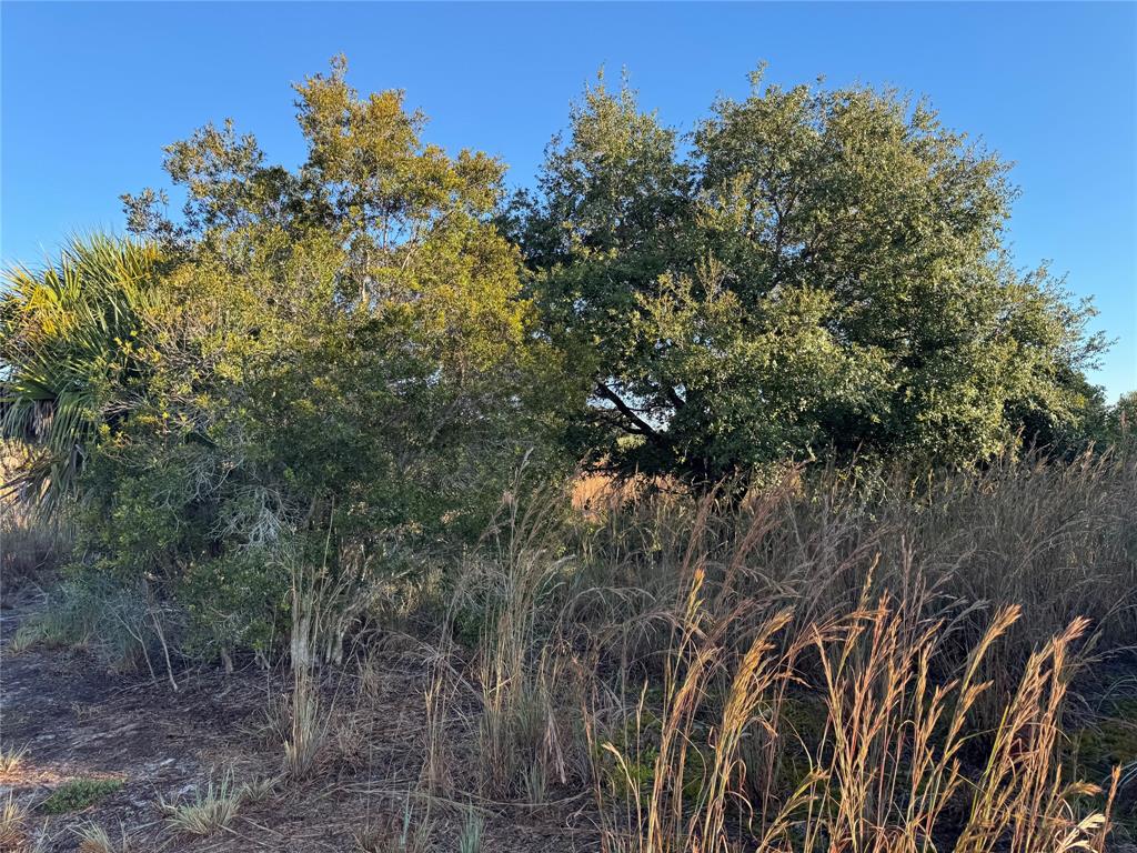 2025 Cabbage Lane Okeechobee, FL 34974 - Photo 7 of 10 a view of a yard with a tree