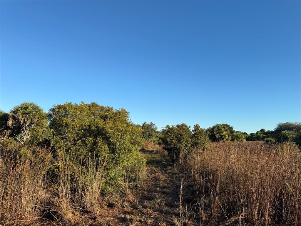 2025 Cabbage Lane Okeechobee, FL 34974 - Photo 9 of 10 a view of a city