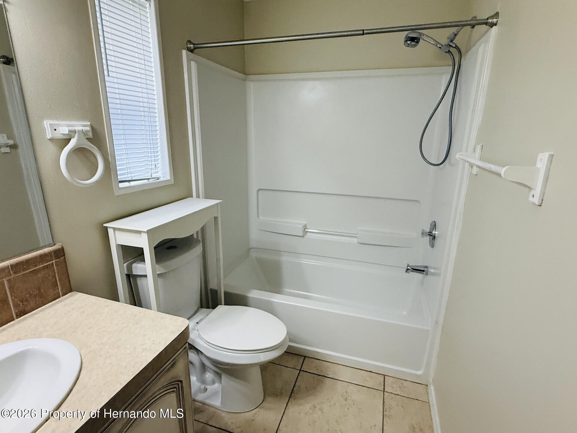10378 Tooke Lake Boulevard Weeki Wachee, FL 34613 - Photo 28 of 30