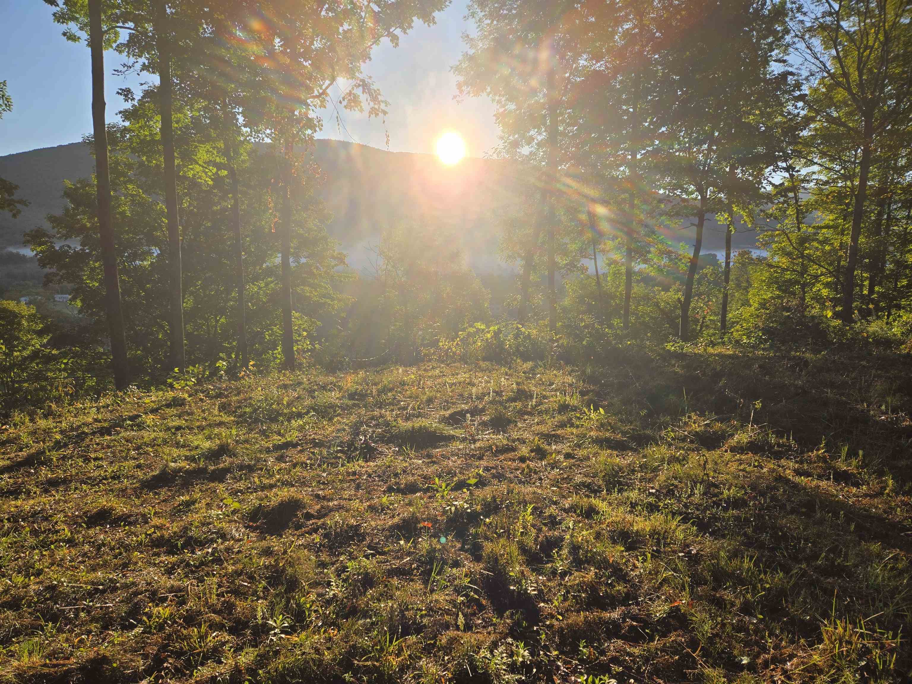 305 Cascade Road Danby, VT 05739 - Photo 1 of 10