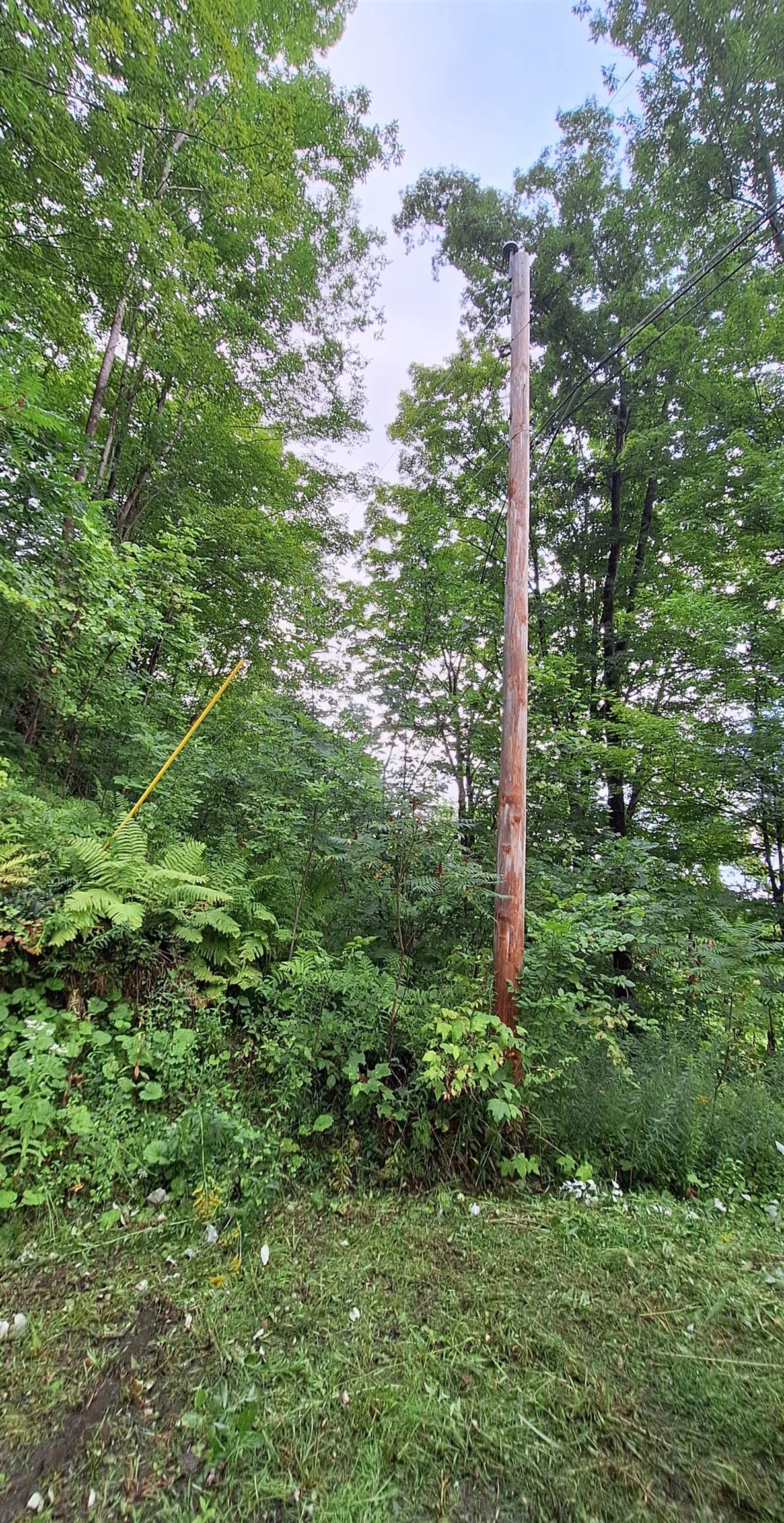 305 Cascade Road Danby, VT 05739 - Photo 7 of 10