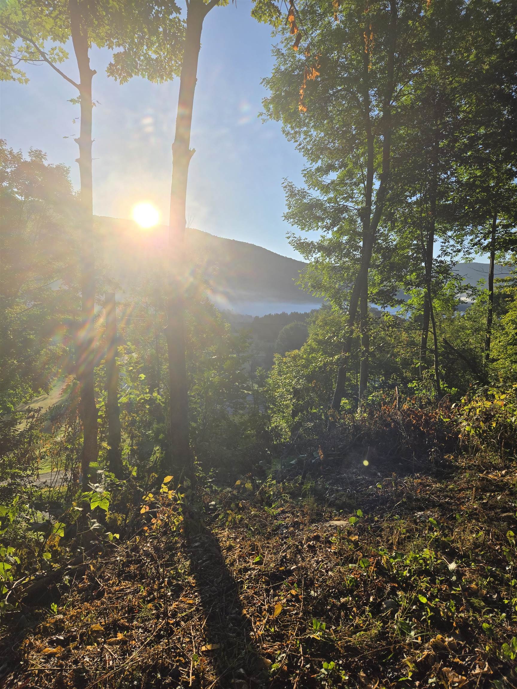 305 Cascade Road Danby, VT 05739 - Photo 8 of 10