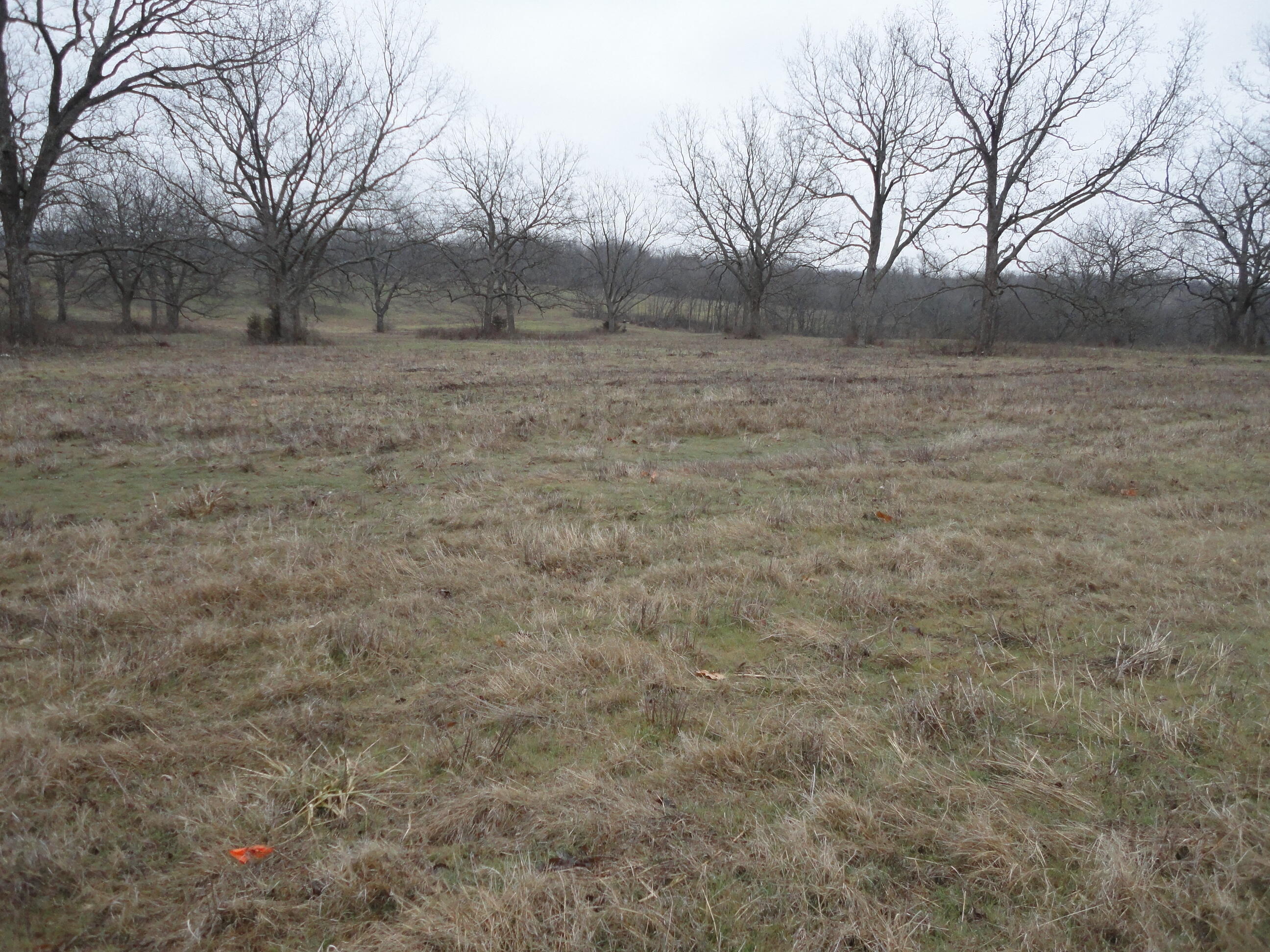 27102 South 620 Road Grove, OK 74344 - Photo 18 of 18 DSC03322