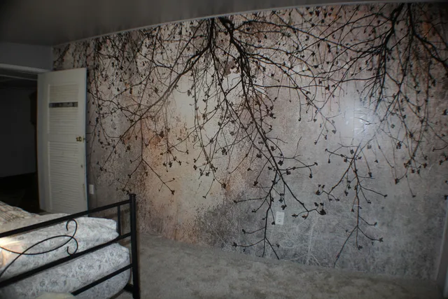 $149,900 | 31165 South Maxton Road, Drummond Island, MI 49726