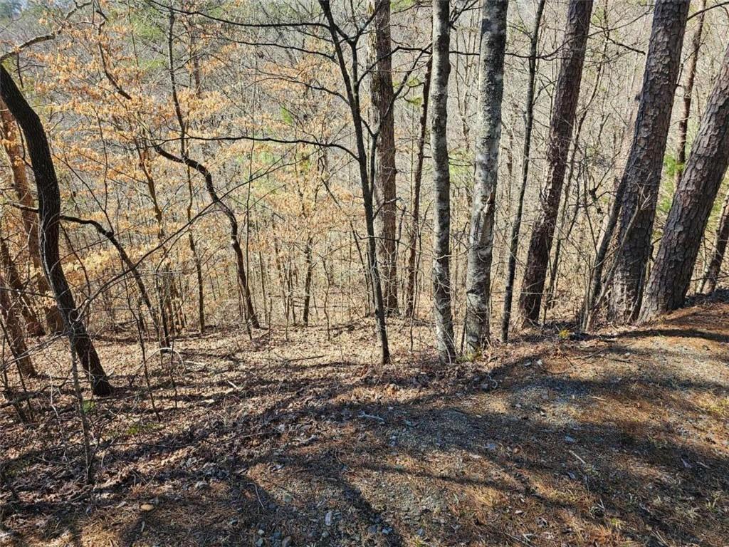 Lot26 Oak Rdg Way Ellijay, GA 30536 - Photo 30 of 40 Gallery Image 30