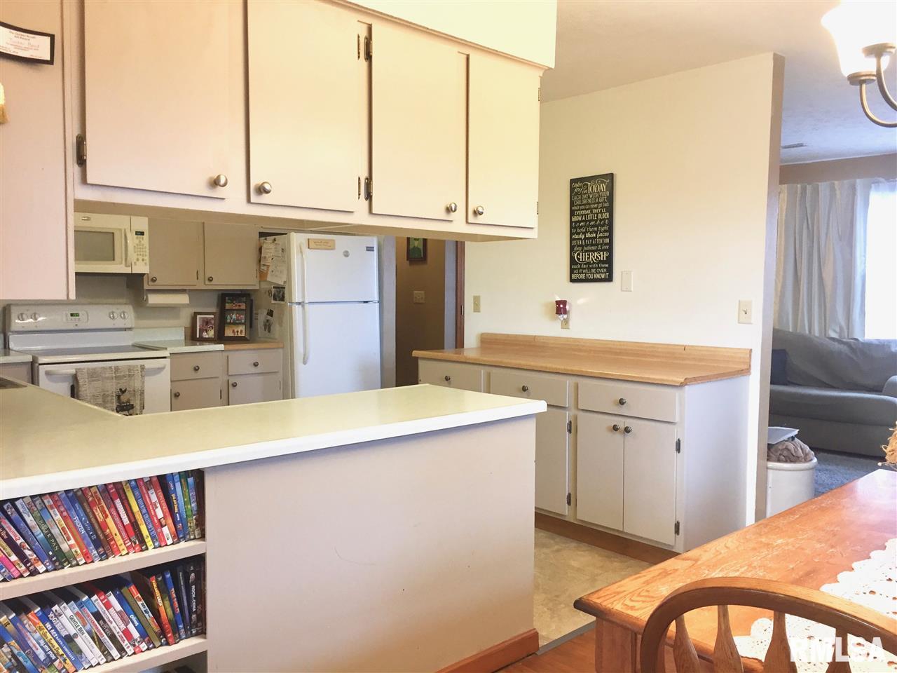 1323 Spring Bay Road East Peoria, IL 61611 - Photo 14 of 31 Gallery Image 14