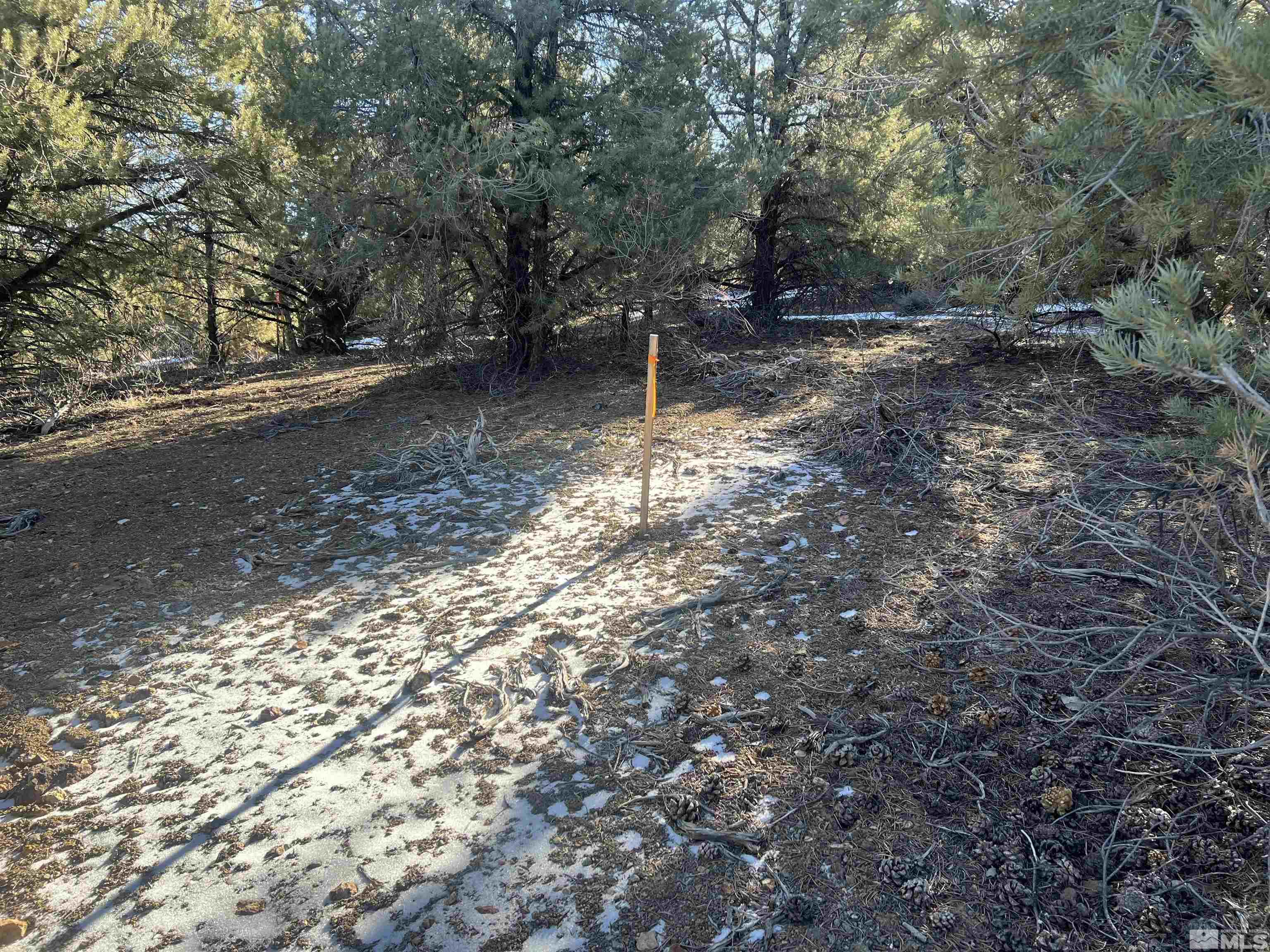 1795 Empire Road Reno, NV 89521 - Photo 8 of 11 a backyard of a house with lots of green space