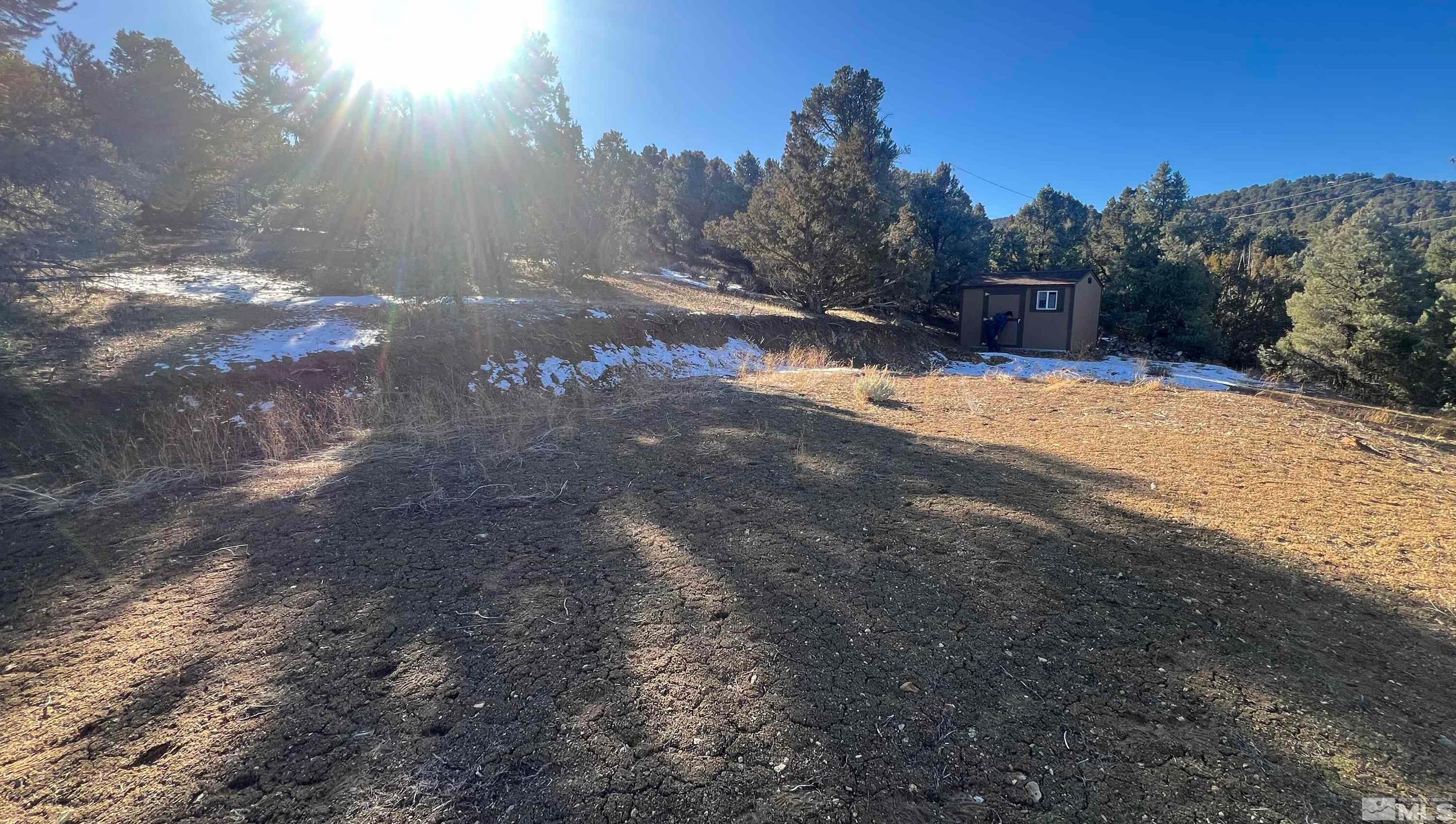1795 Empire Road Reno, NV 89521 - Photo 9 of 11 a view of road with large trees