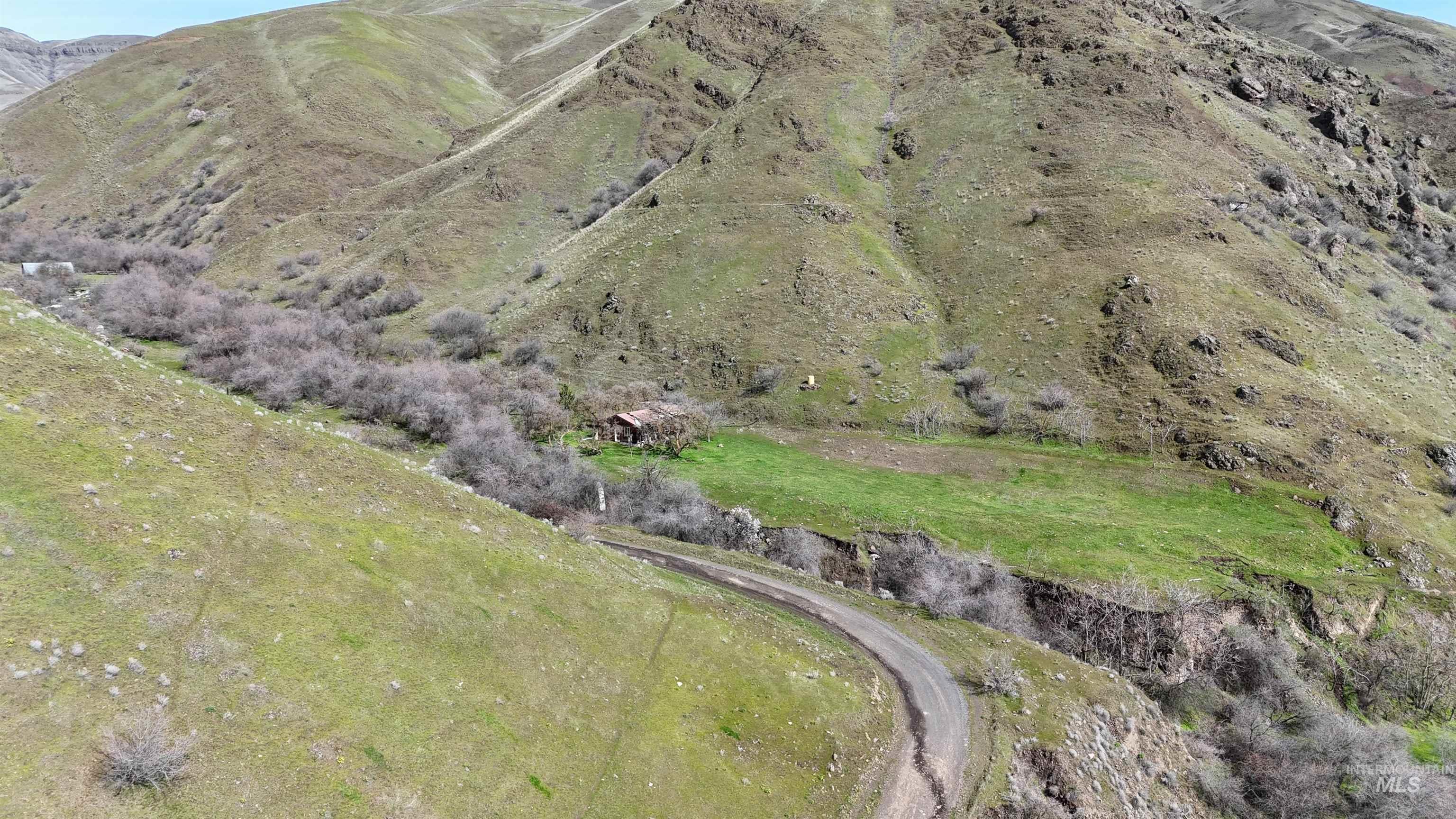 0 Wawawai Road Uniontown, WA 99179 - Photo 5 of 7 View of mountain background