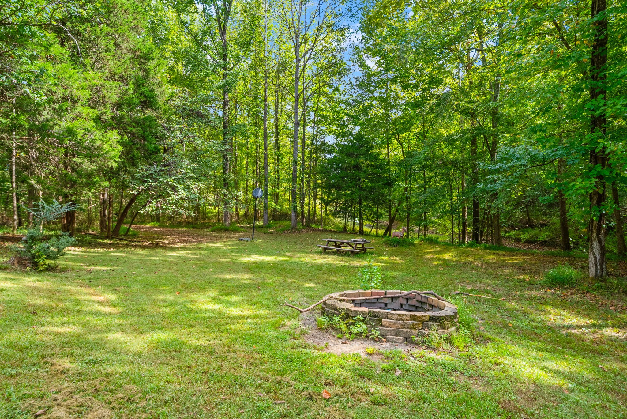 480 Hickman Shores Road Dover, TN 37058 - Photo 46 of 57 Gallery Image 46