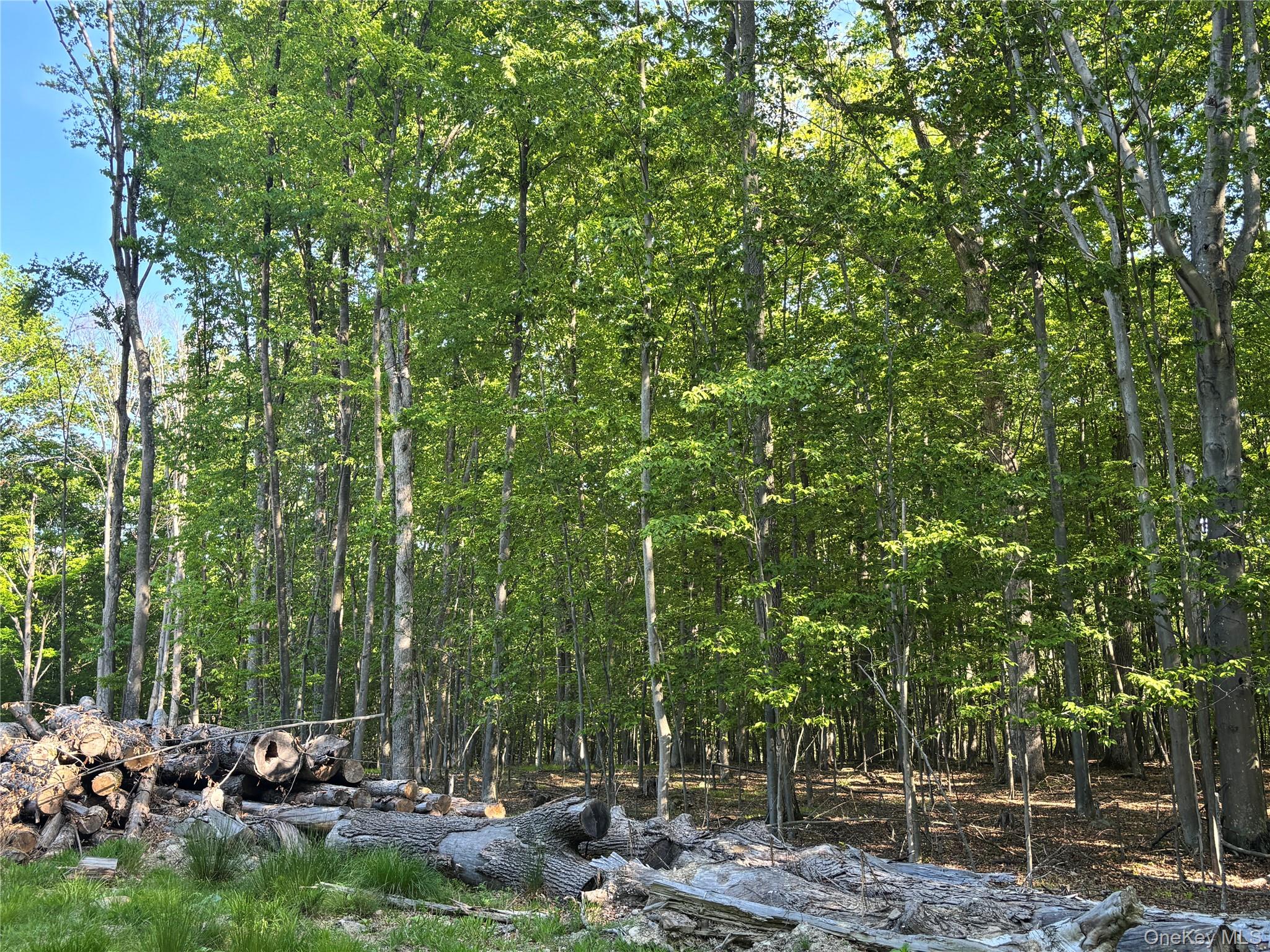 South Plank Road Westtown, NY 10998 - Photo 7 of 14