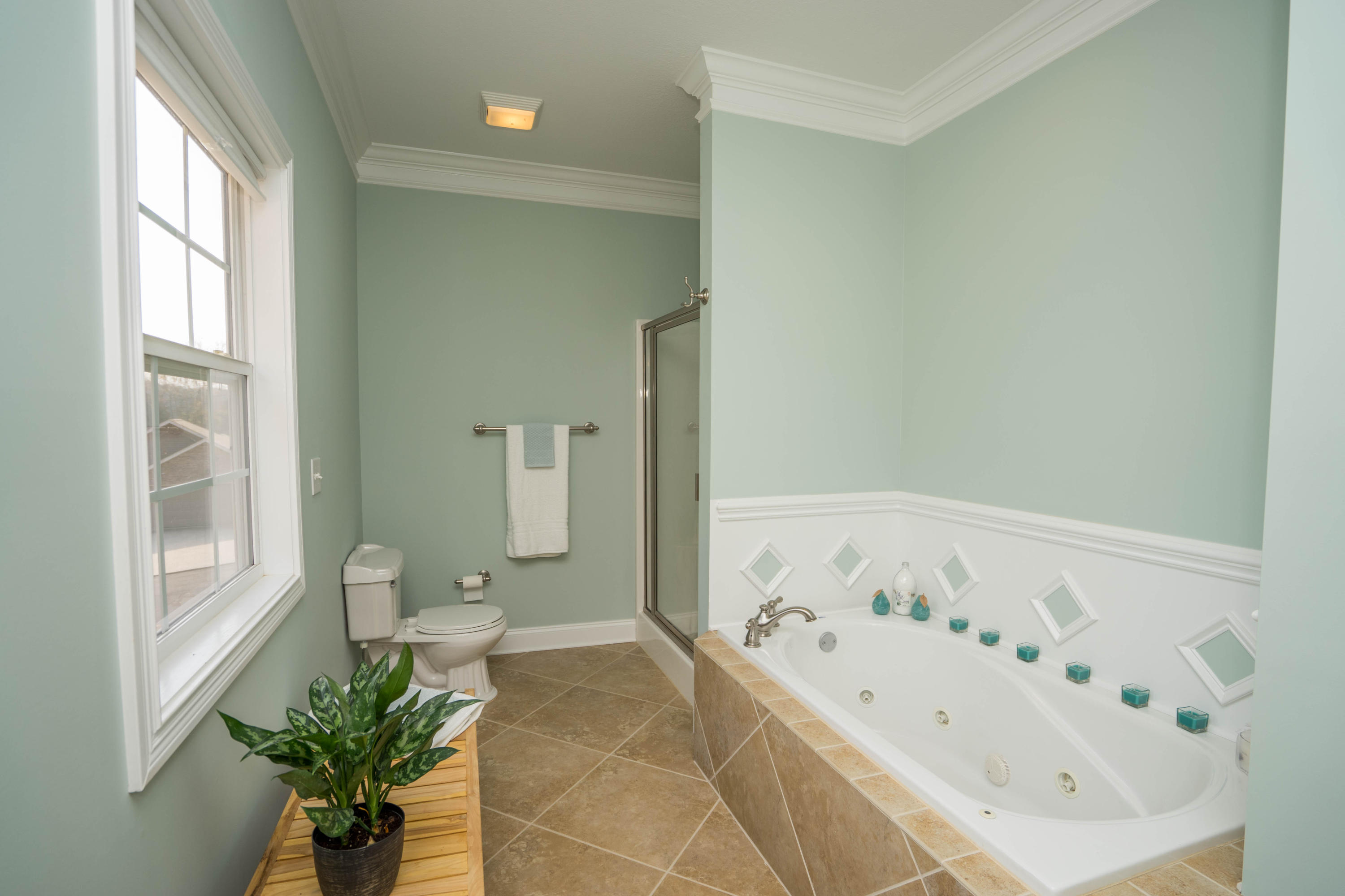 8110 Campbells Point Road Corryton, TN 37721 - Photo 25 of 40 DSC00856