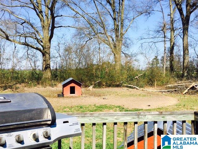 165 Terrace View Drive Altoona, AL 35952 - Photo 14 of 15