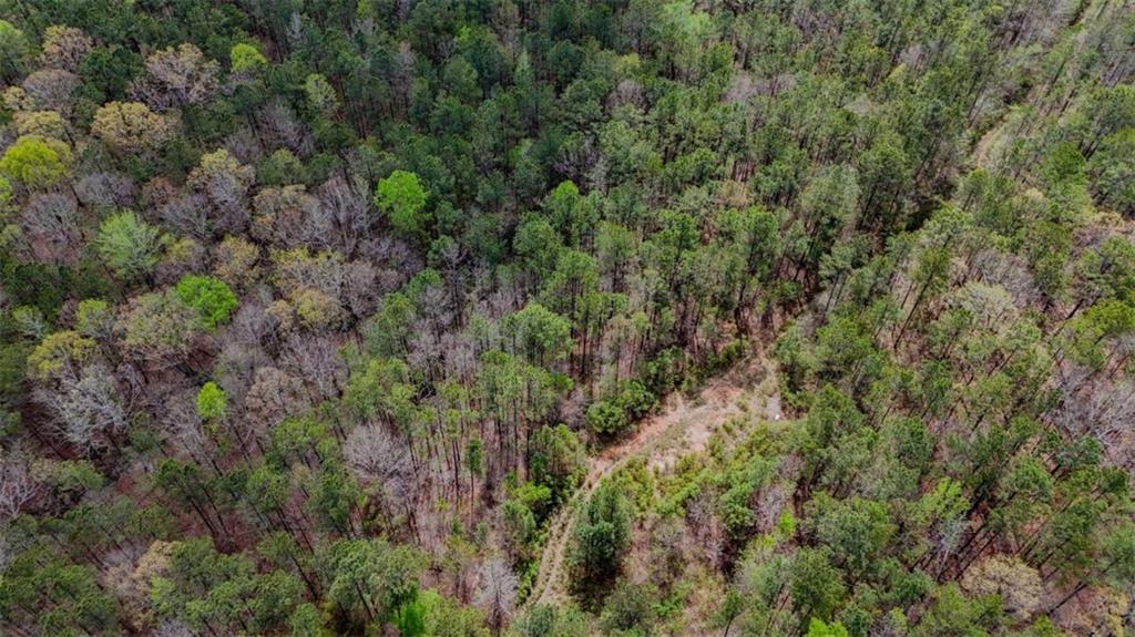 78-acr Cross Plains Road Carrollton, GA 30116 - Photo 9 of 13