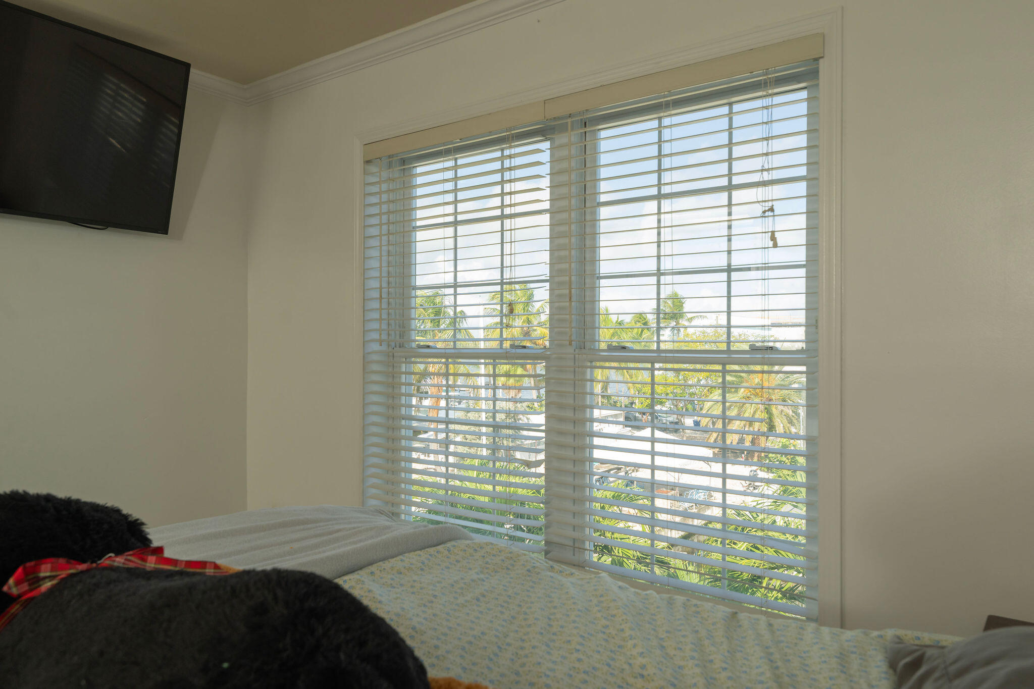 27 Avenue D Key Largo, FL 33037 - Photo 48 of 69 a bedroom with a bed and a window