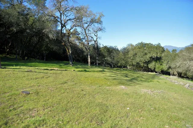 a view of a field with a trees in the background