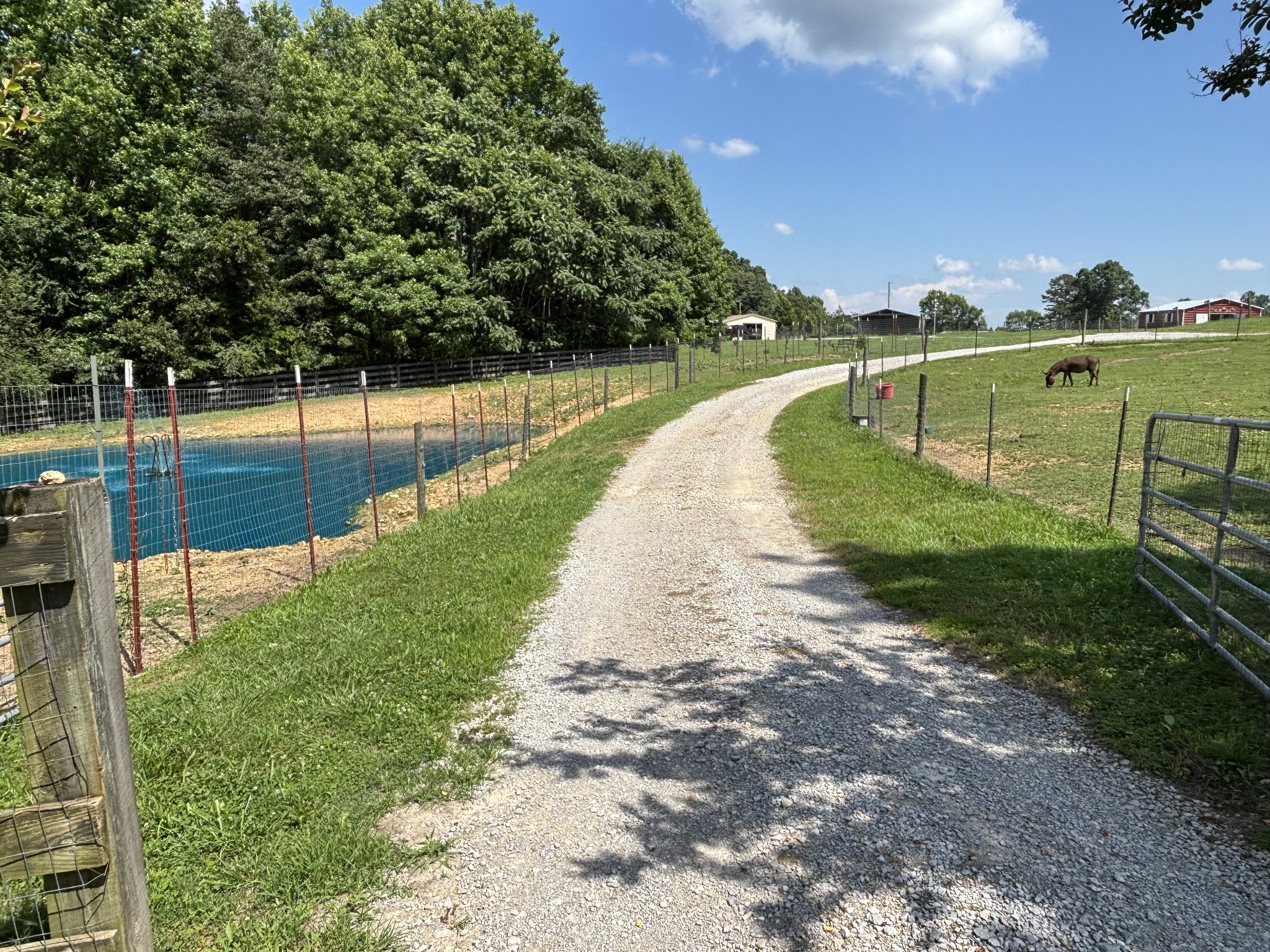 1221 Johnson Branch Road Pulaski, TN 38478 - Photo 15 of 100