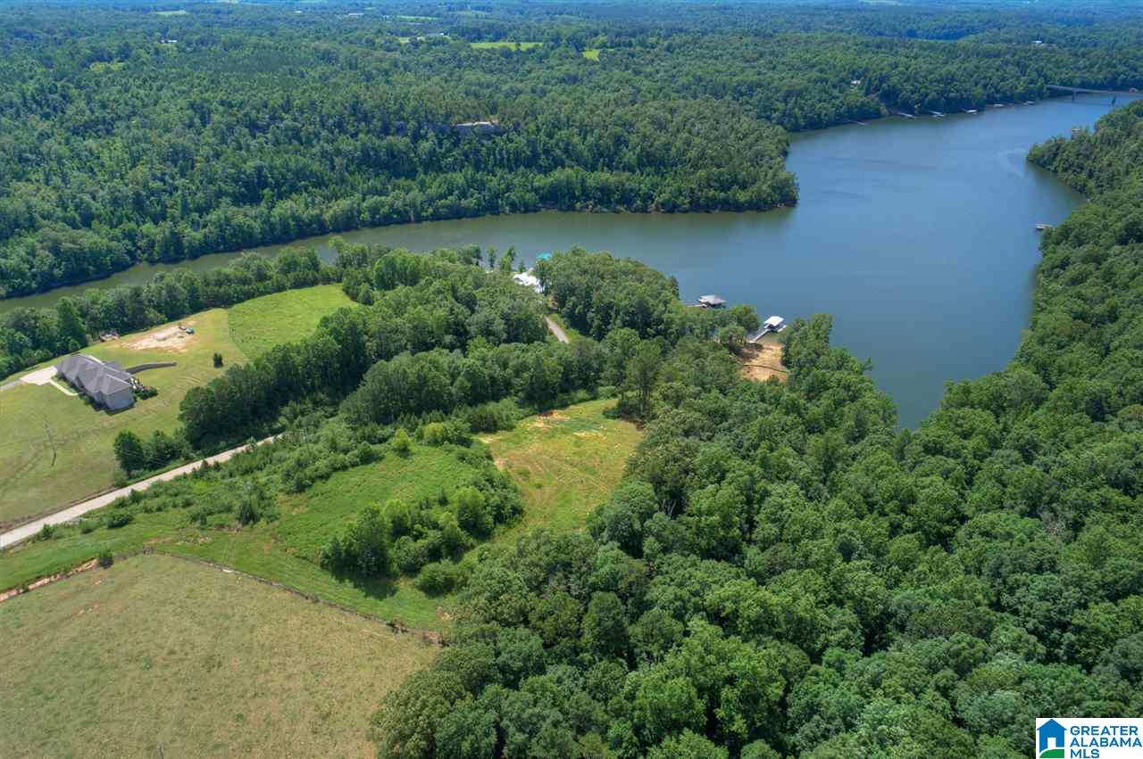 0 Ridge Drive, Unit 58 PART 54 & BOAT RAMP Arley, AL 35541 - Photo 20 of 27