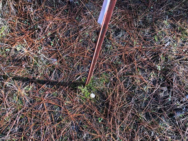 a backyard of a house