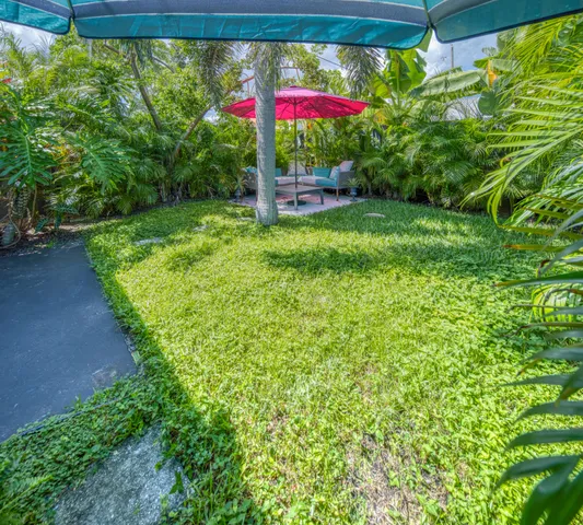 a view of a back yard