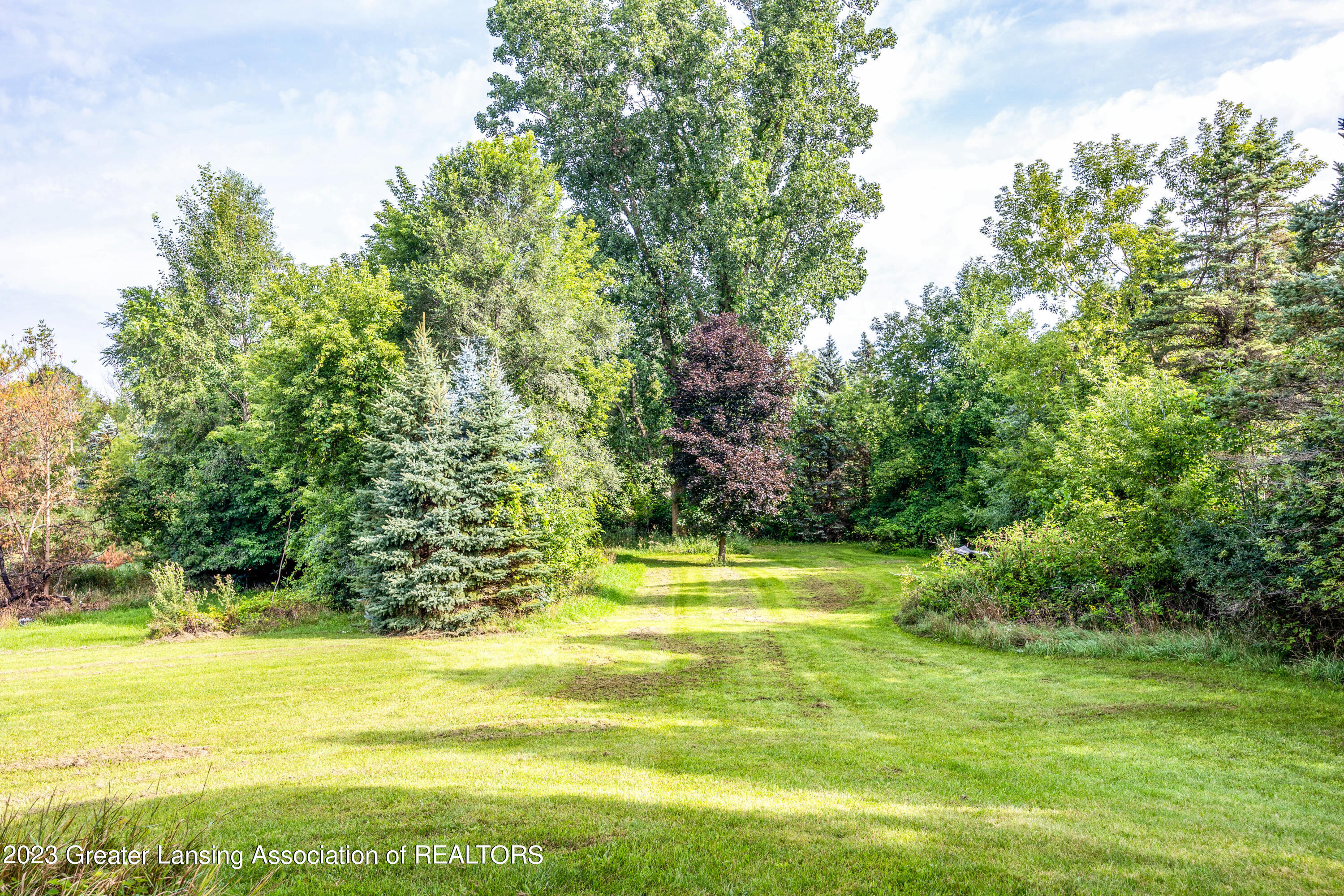 12102 Raelyn Hills Drive Perry, MI 48872 - Photo 9 of 28 Side Yard