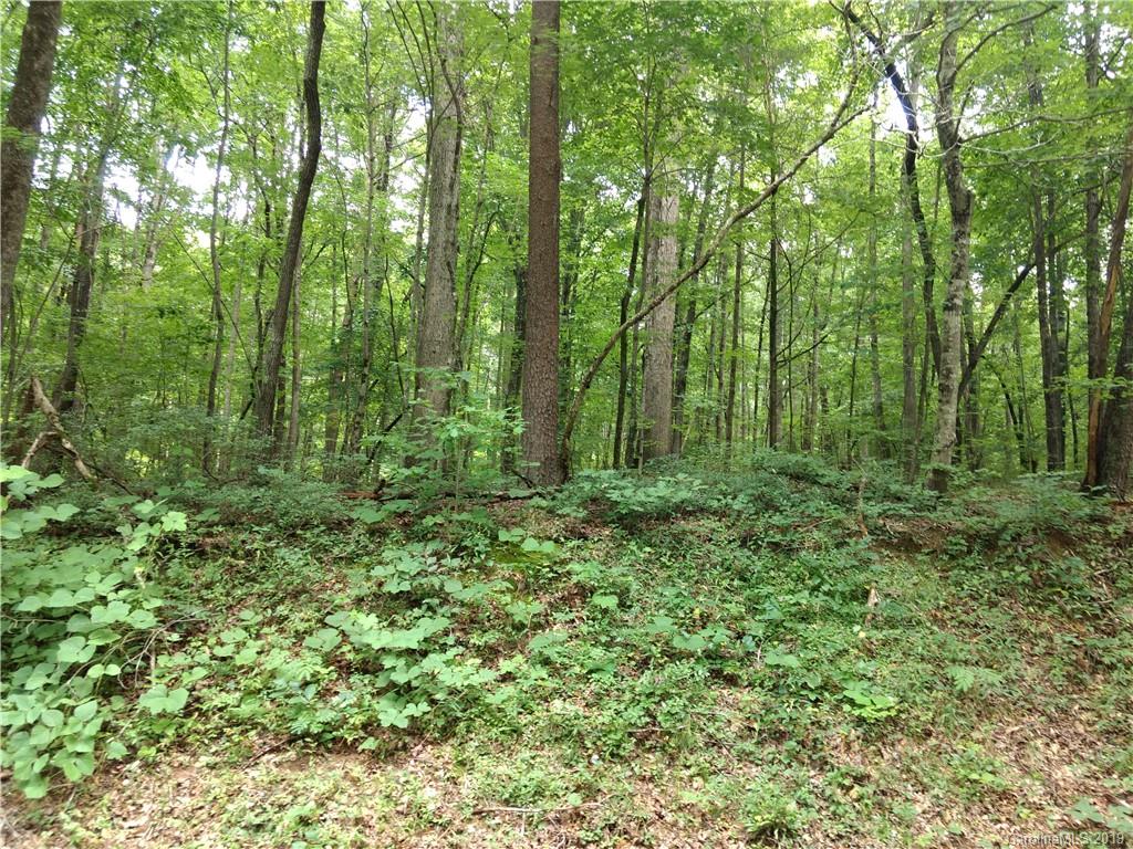 0 Pine Tree Road Union Mills, NC 28167 - Photo 1 of 9 Gallery Image 1