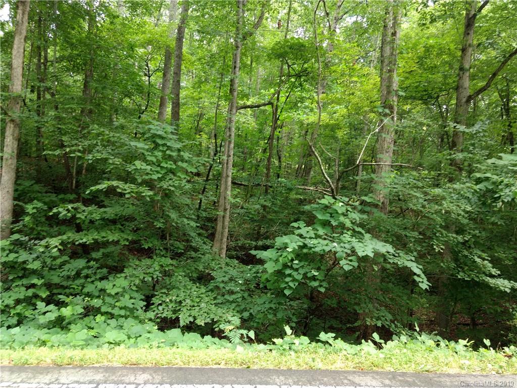 0 Pine Tree Road Union Mills, NC 28167 - Photo 4 of 9 Gallery Image 4