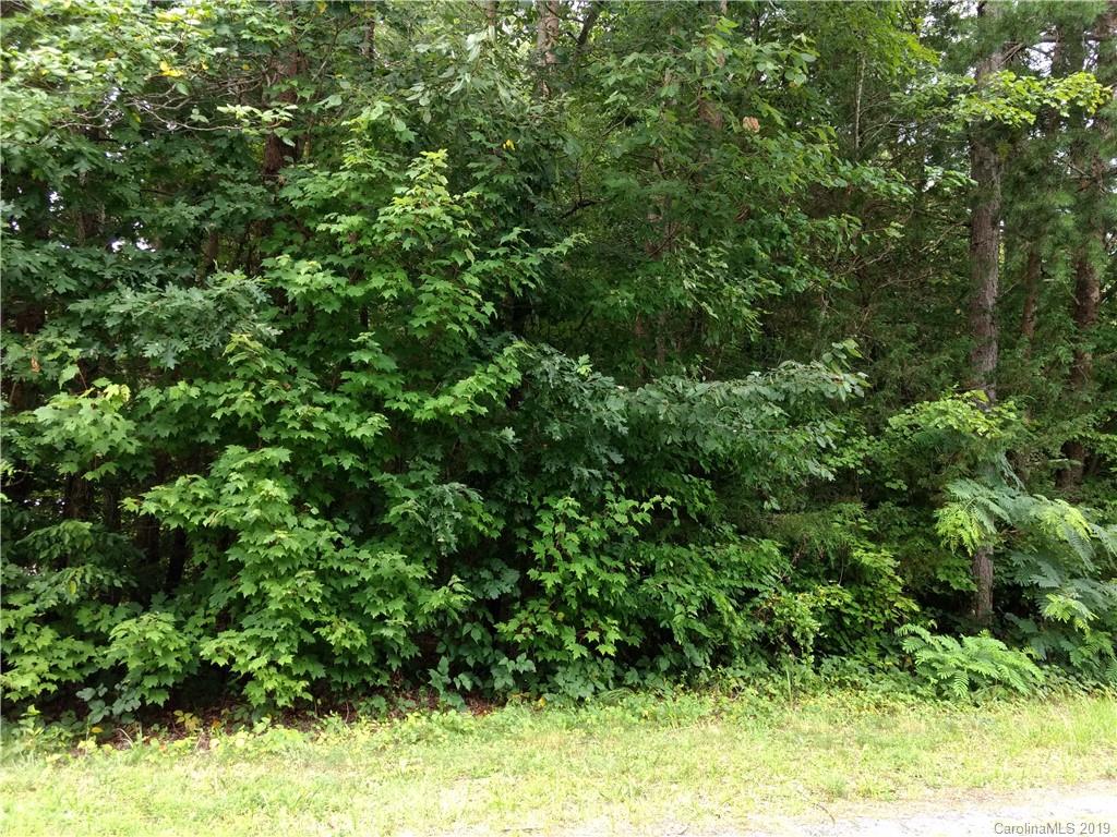 0 Pine Tree Road Union Mills, NC 28167 - Photo 5 of 9 Gallery Image 5