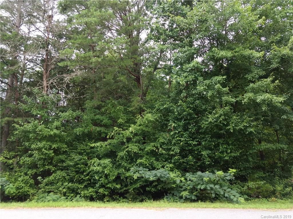 0 Pine Tree Road Union Mills, NC 28167 - Photo 6 of 9 Gallery Image 6