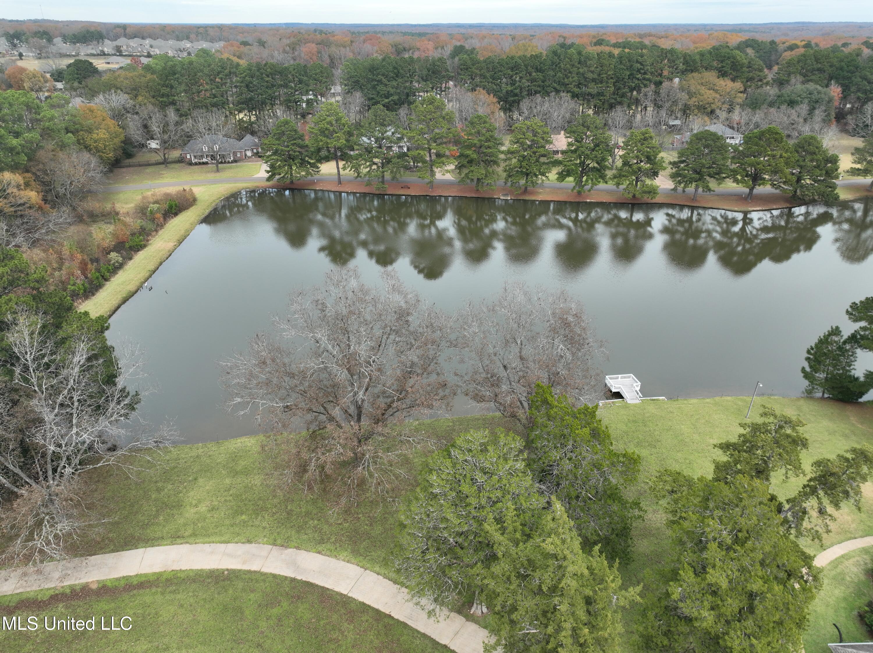 106 Carra Way Clinton, MS 39056 - Photo 40 of 40 dji_fly_20241214_125548_353_173436621572