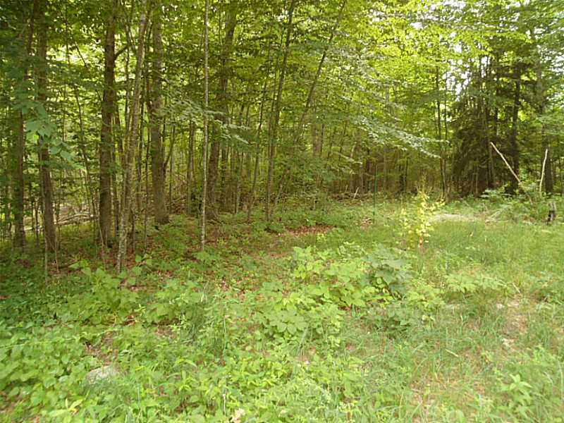 293 Spring Street Hopkinton, RI 02873 - Photo 14 of 19 View.