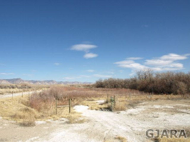 1638 18 Road Fruita, CO 81521 - Photo 13 of 17