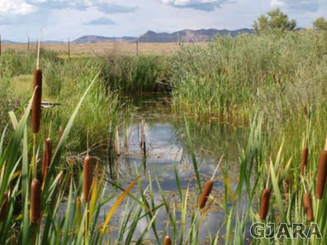 1638 18 Road Fruita, CO 81521 - Photo 17 of 17 a view of a lake with a mountain in the background