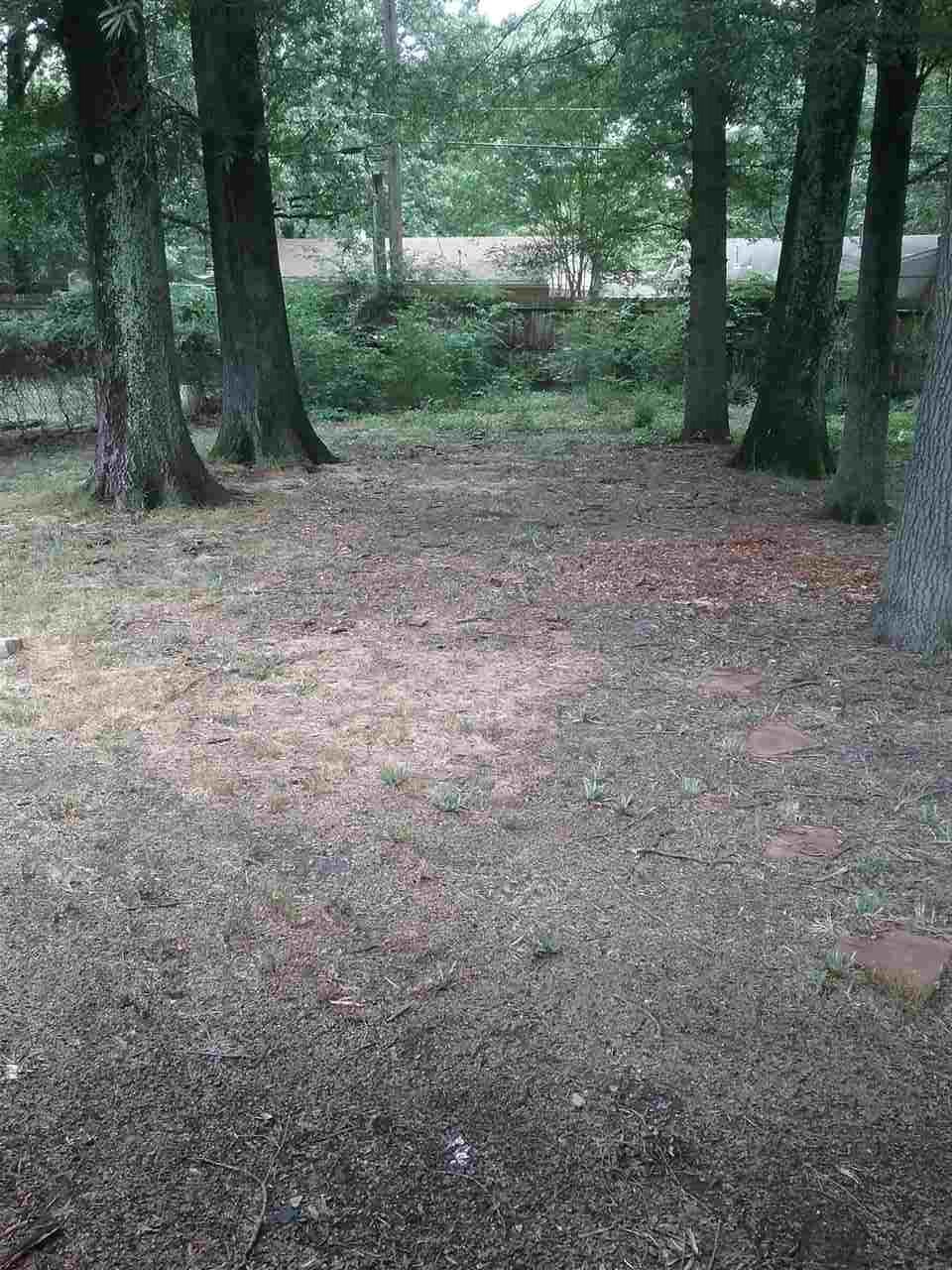 4598 Willow Road Memphis, TN 38117 - Photo 10 of 10