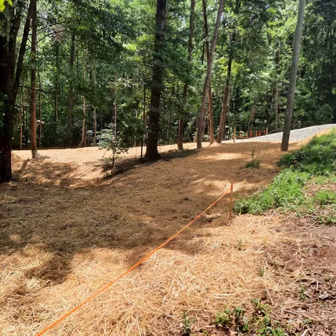 $55,000 | Lot 195 Shenendoa Drive, Ellijay, GA 30540