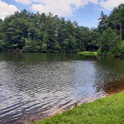 $55,000 | Lot 195 Shenendoa Drive, Ellijay, GA 30540