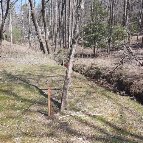 $55,000 | Lot 195 Shenendoa Drive, Ellijay, GA 30540