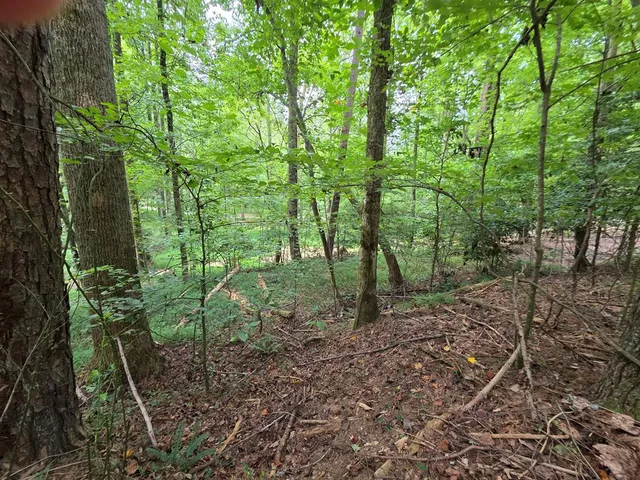 $55,000 | Lot 195 Shenendoa Drive, Ellijay, GA 30540