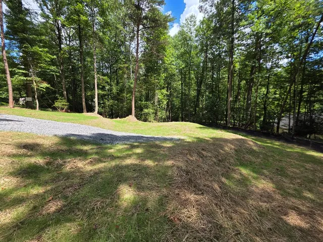 $55,000 | Lot 195 Shenendoa Drive, Ellijay, GA 30540