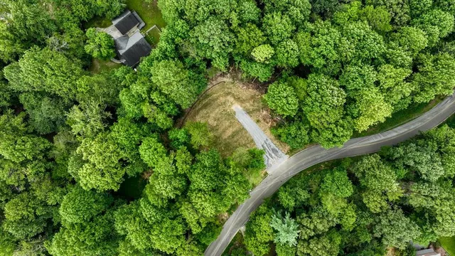 $55,000 | Lot 195 Shenendoa Drive, Ellijay, GA 30540