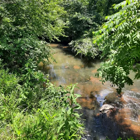 $55,000 | Lot 195 Shenendoa Drive, Ellijay, GA 30540