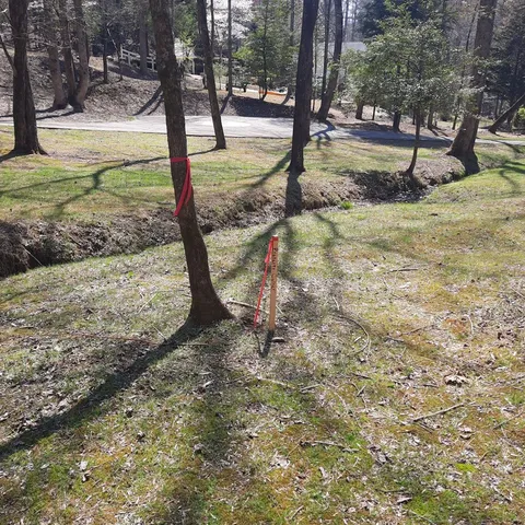 $55,000 | Lot 195 Shenendoa Drive, Ellijay, GA 30540